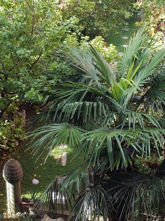 Appartamento Garden Ca' Rezzonico Venesia Bagian luar foto