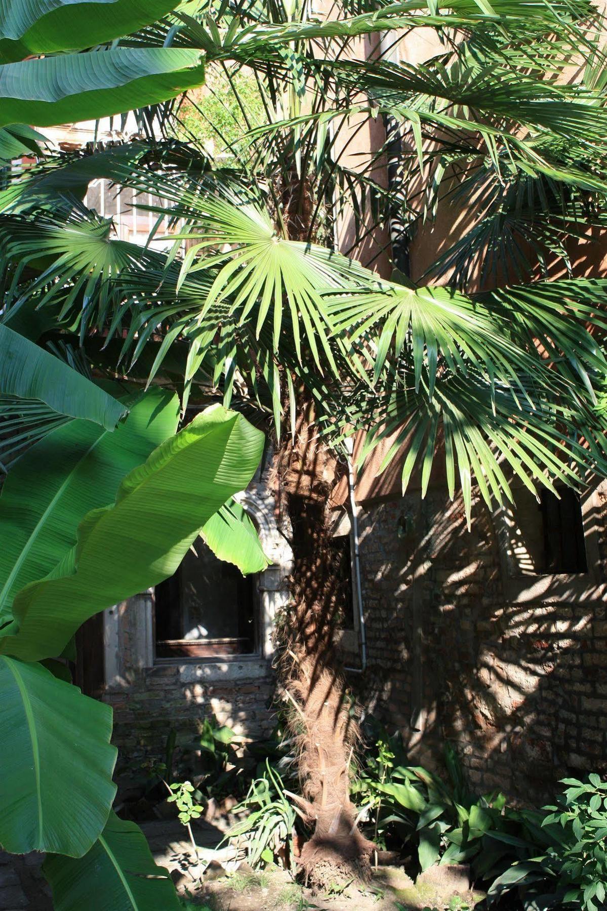 Appartamento Garden Ca' Rezzonico Venesia Bagian luar foto